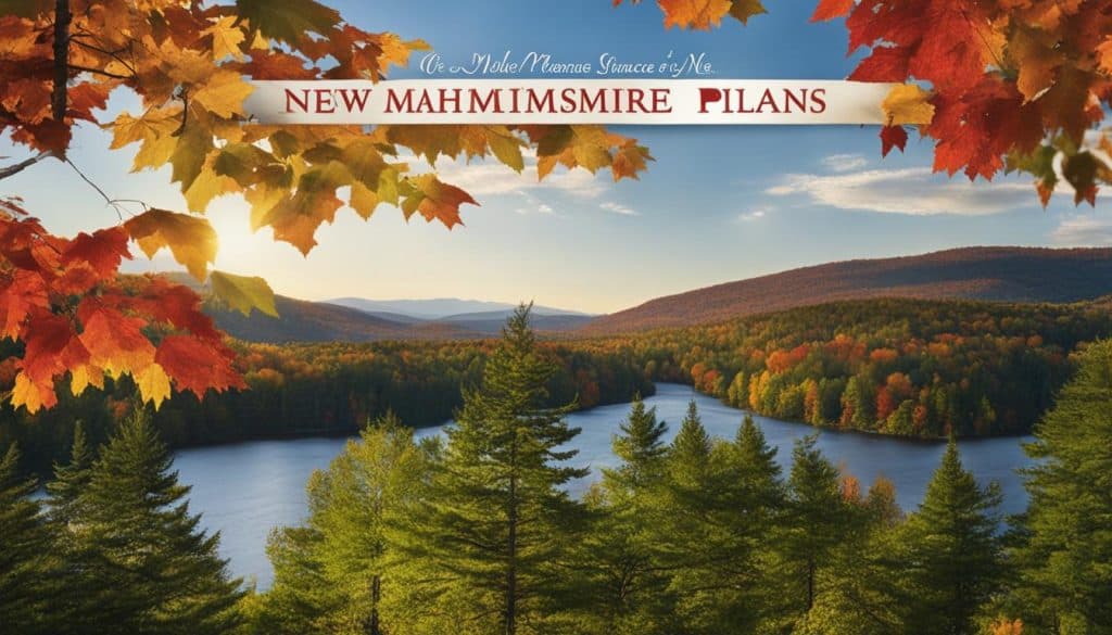 medicare supplement plans in new hampshire