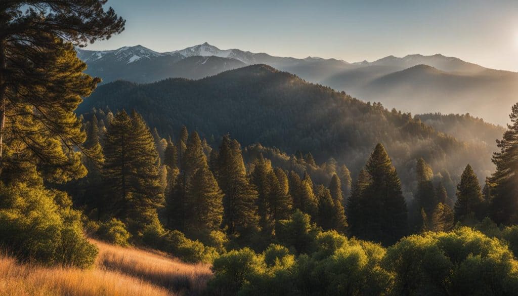 Crestline CA Medicare Plans